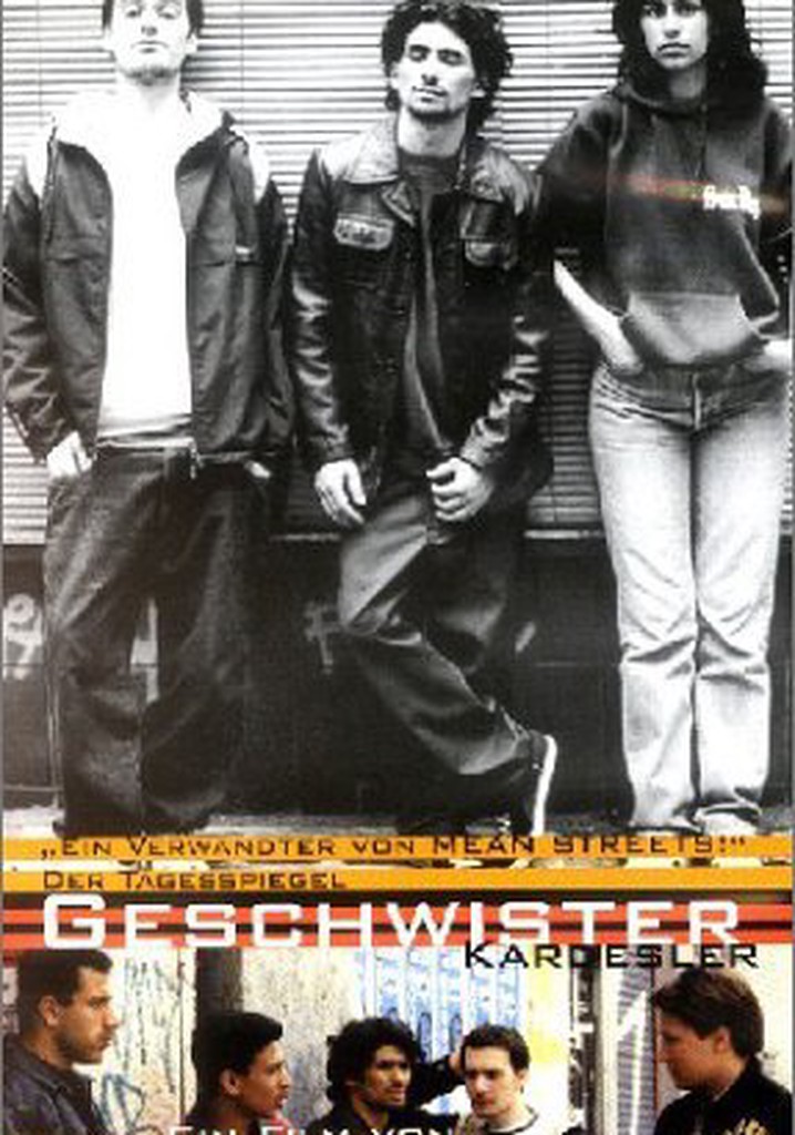 Brothers and Sisters streaming where to watch online?